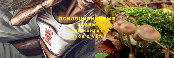 apvp Белокуриха
