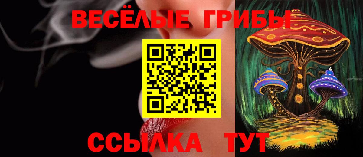 Псилоцибиновые грибы GOLDEN TEACHER Богданович