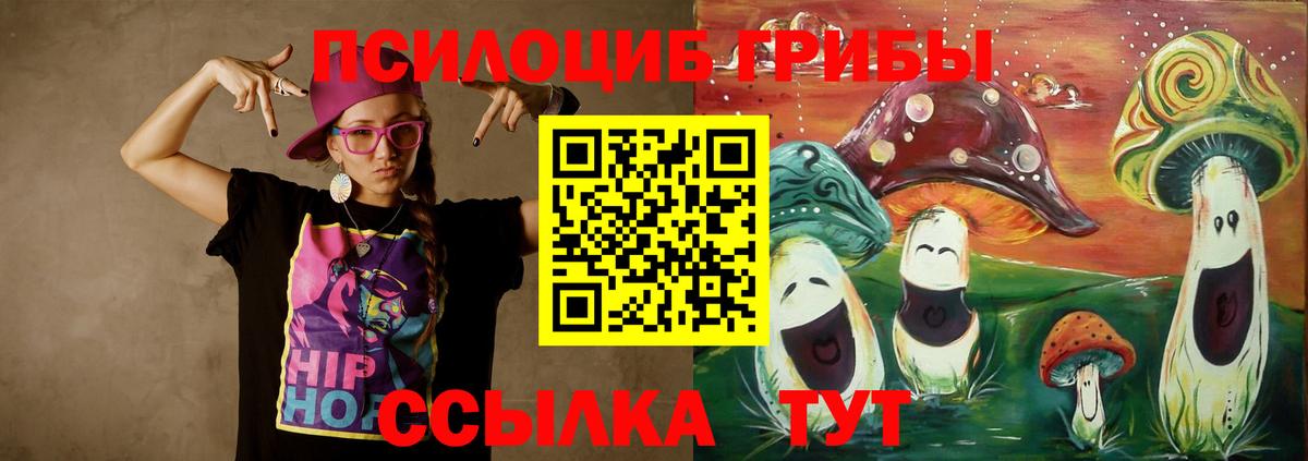 Богданович  Галлюциногенные грибы GOLDEN TEACHER  Вход с VPN 