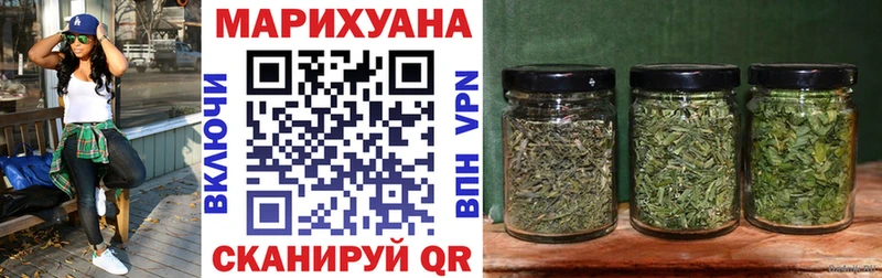 Конопля MAZAR  Богданович 